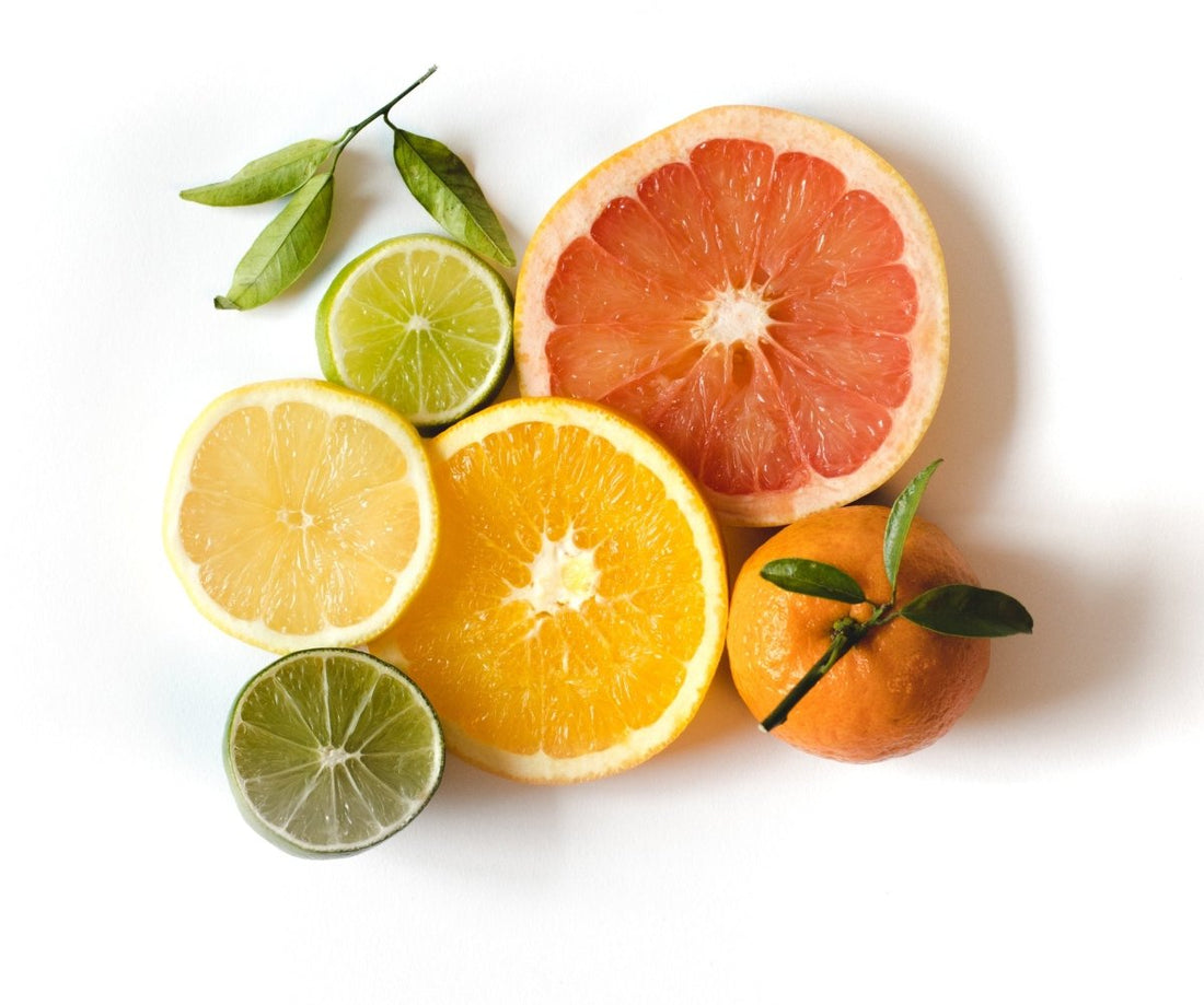 Frisch aufgeschnittene Zitrusfrüchte – Grapefruit, Orange, Limette, Zitrone und Mandarine auf weißem Hintergrund